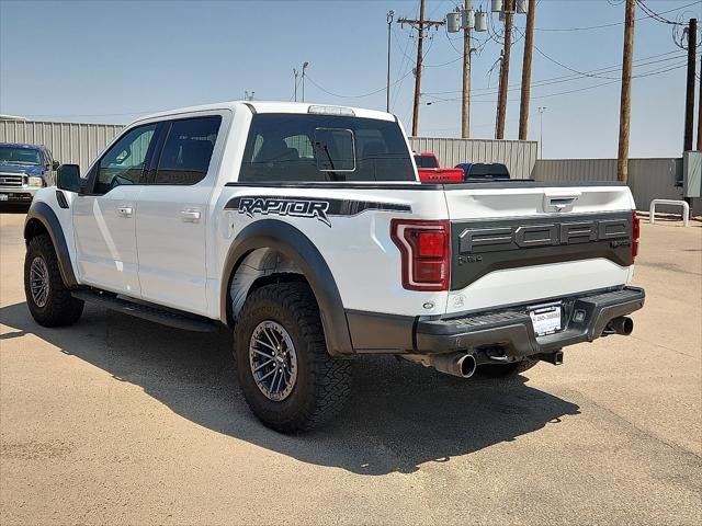 2019 Ford F-150 Raptor